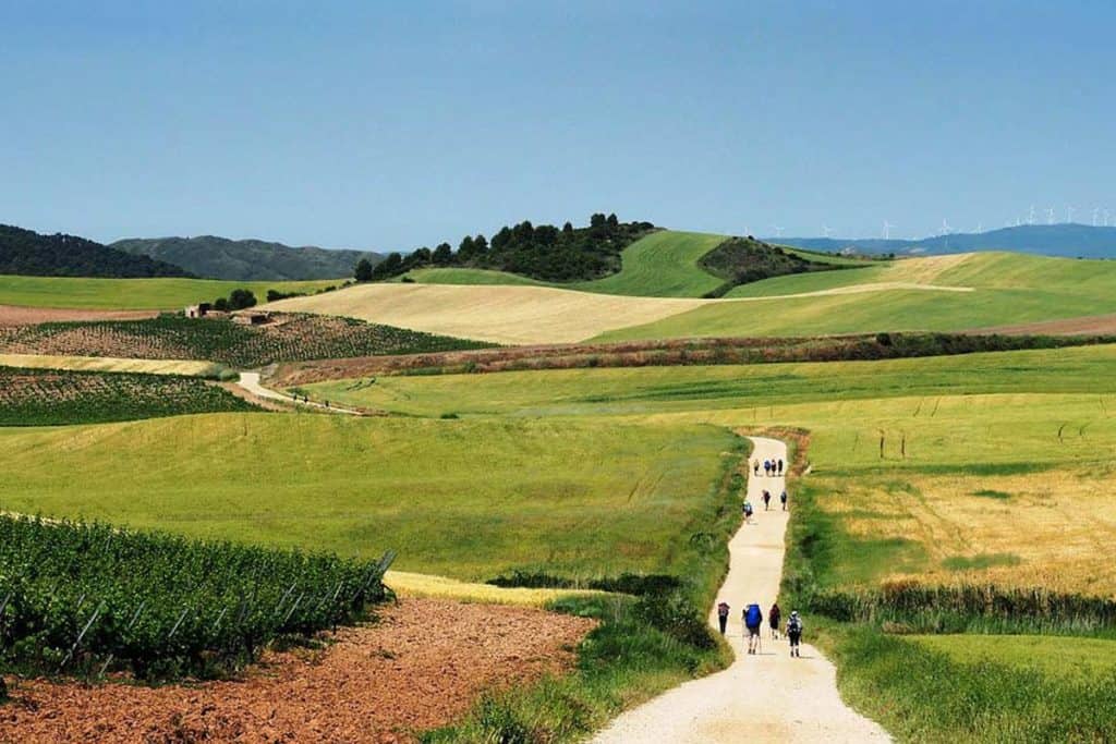 walking from Pamplona to Logrono on the Camino Frances