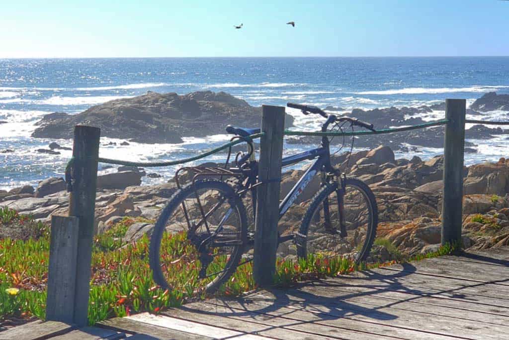 Portuguese Camino Coastal Route : From Porto to Santiago