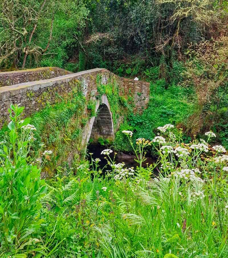 medieval bridge, en route to Mino on the Camino Ingles