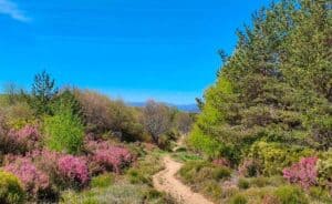 Cruz De Ferro: The Iron Cross On The Camino De Santiago