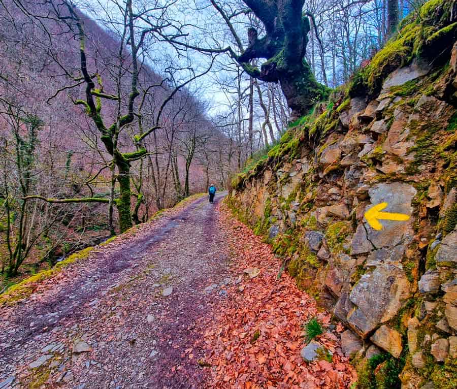 yellow arrow on the trail from Valcarlos on the Camino