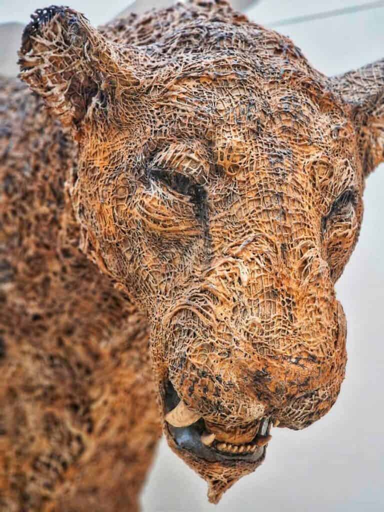 modern sculpture of a wild cat in the museum of human evolution in burgos