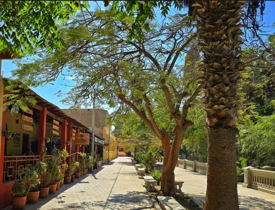 one of the promenade cafes beside the oasis