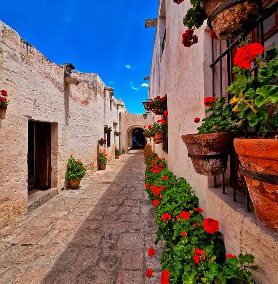 floral street in Santa Caterina in Arequipa