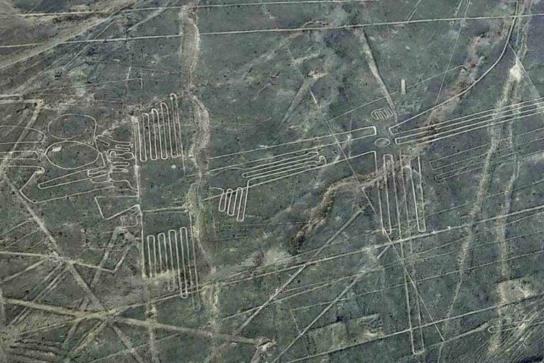nazca lines of the Parrot as seen from the air during my nazca flight