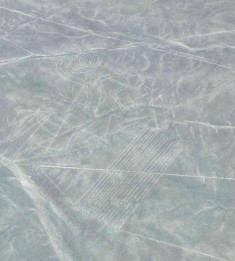 view of the Nazca Lines monkey from the air