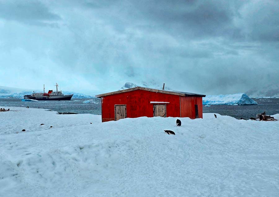 MV Ushuaia visible offshore during on of our landings