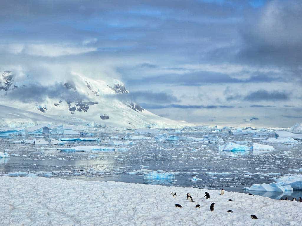 stunning view of the sea ice and penguins from Neko Harbour