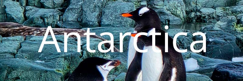 image link to Antarctica page showing 3 penguins