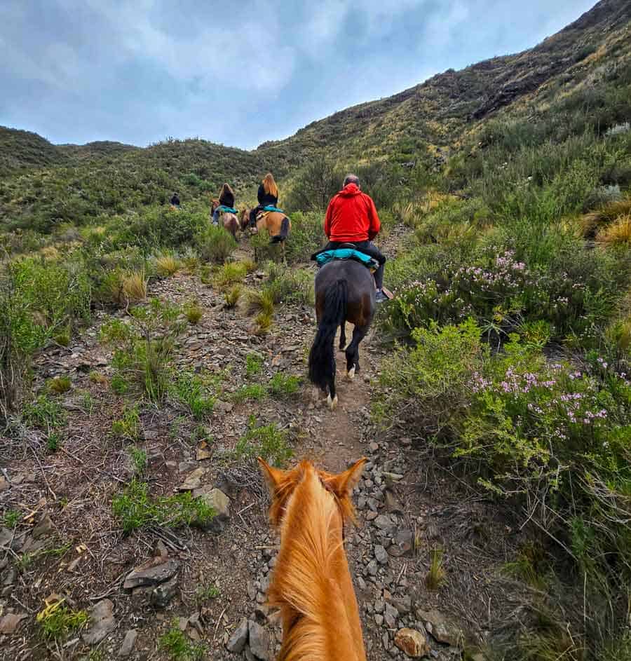 view of Gerry riding horses with gauchos in the Andes