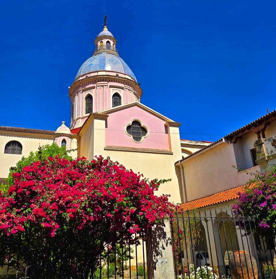 beautiful view of the cathedral with bougainvillea in bloom in the foreground